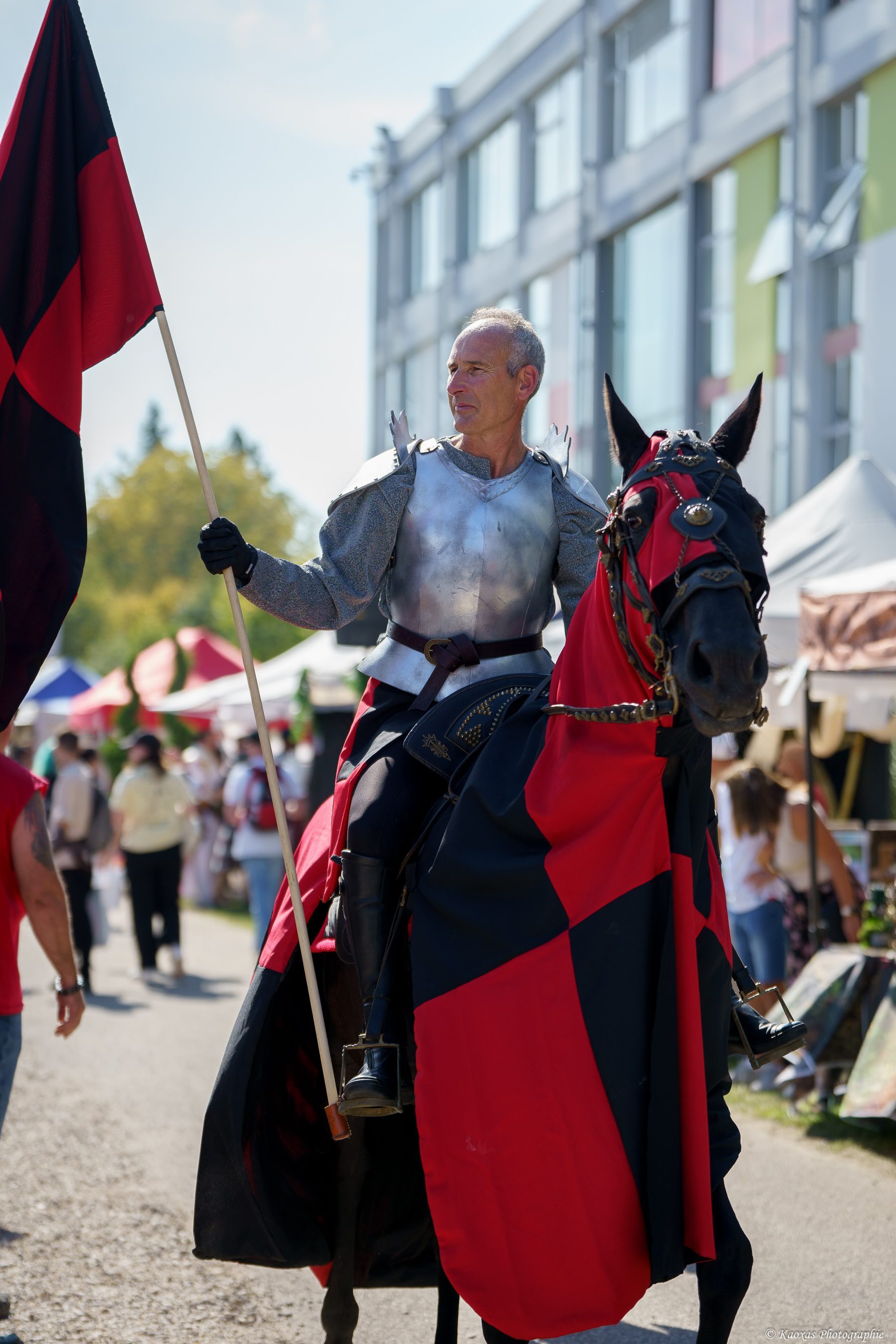 Spectacles vivants : rapaces, chevaux et magie